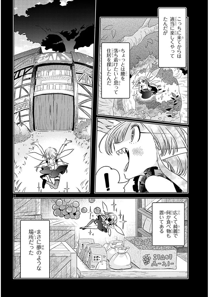 Page 14