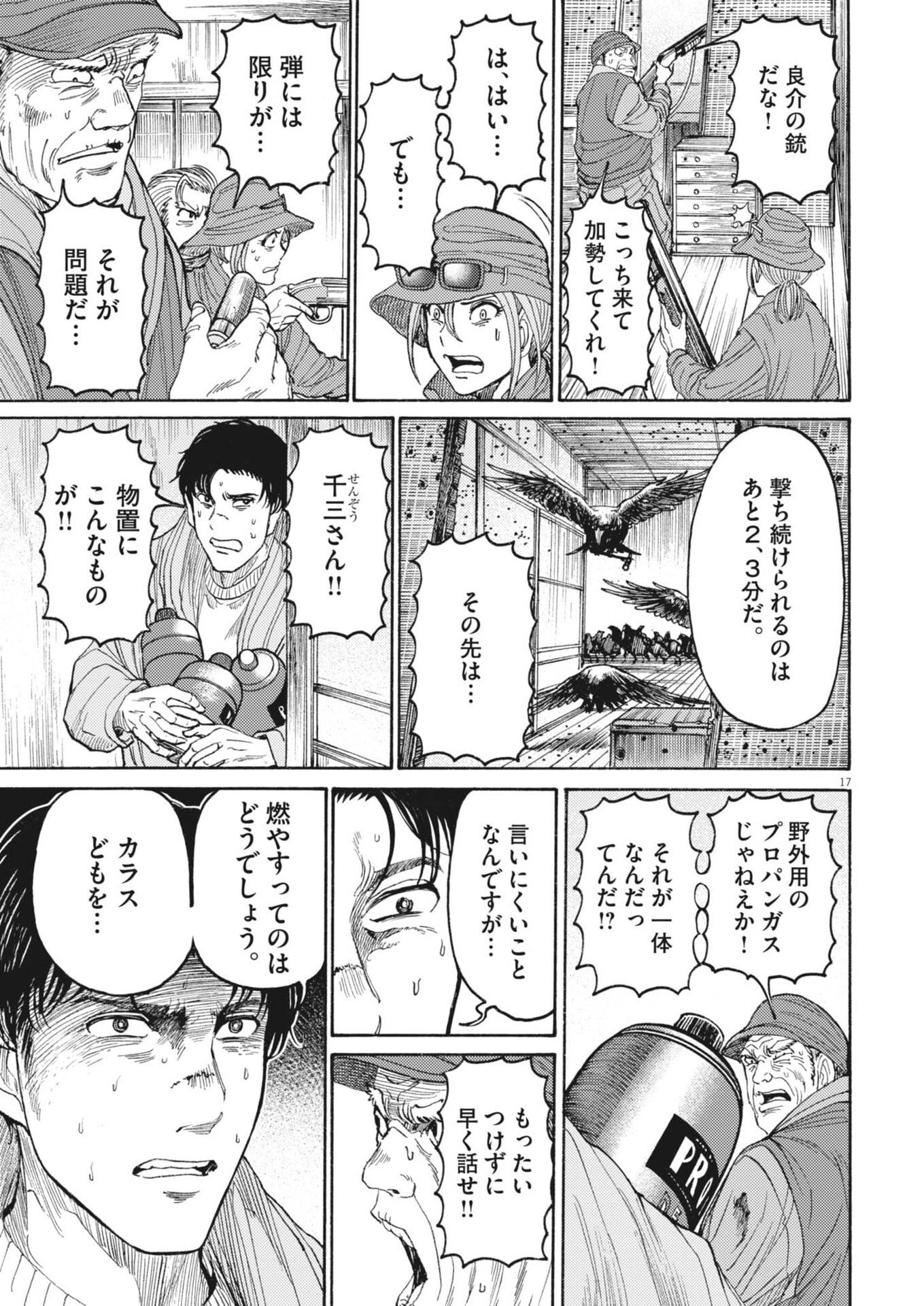 Page 17