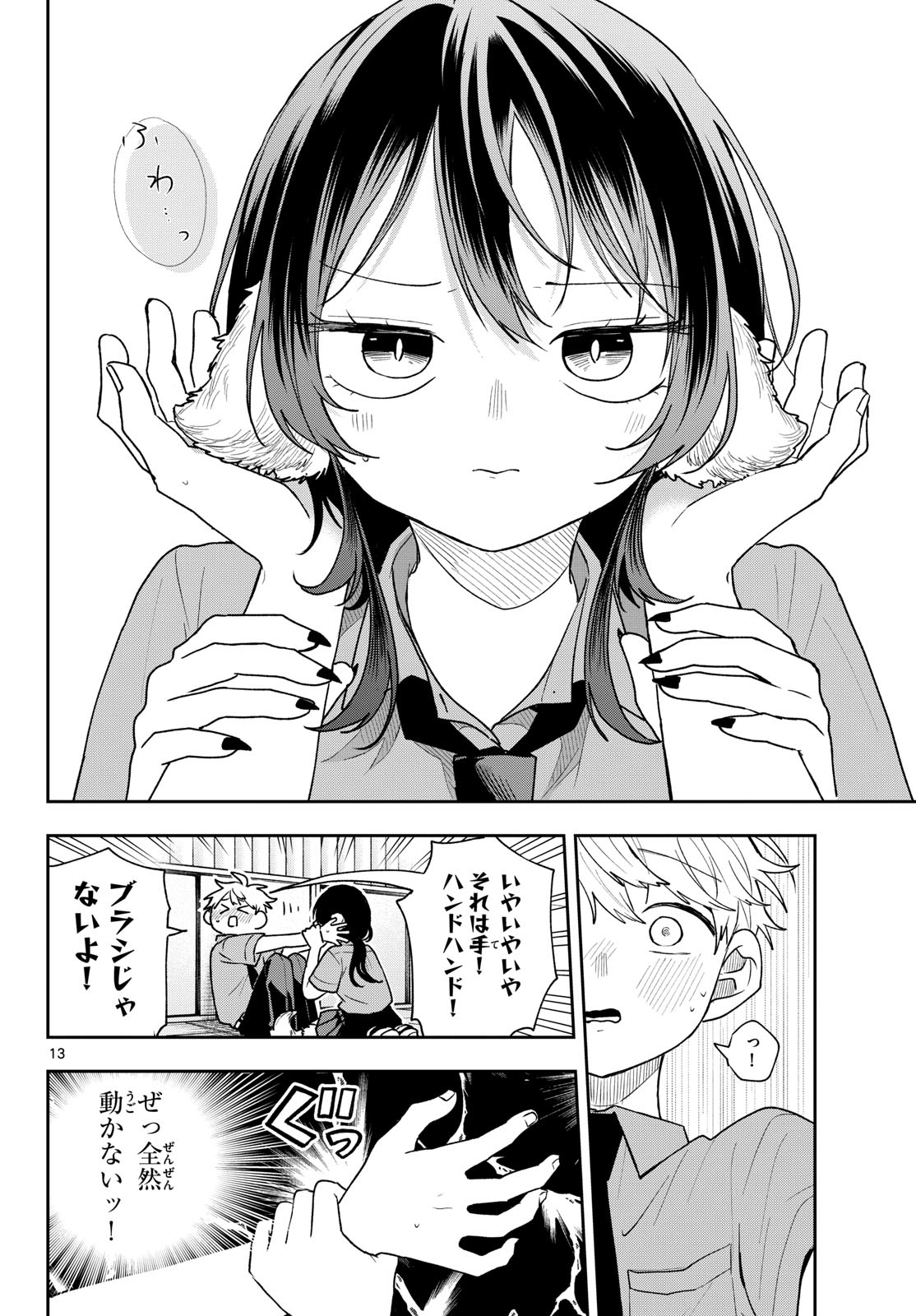 Page 13