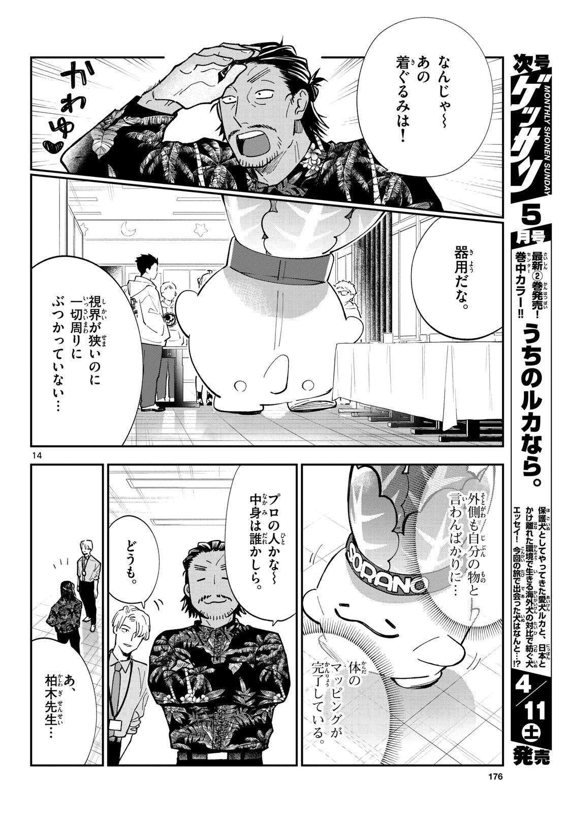 Page 14