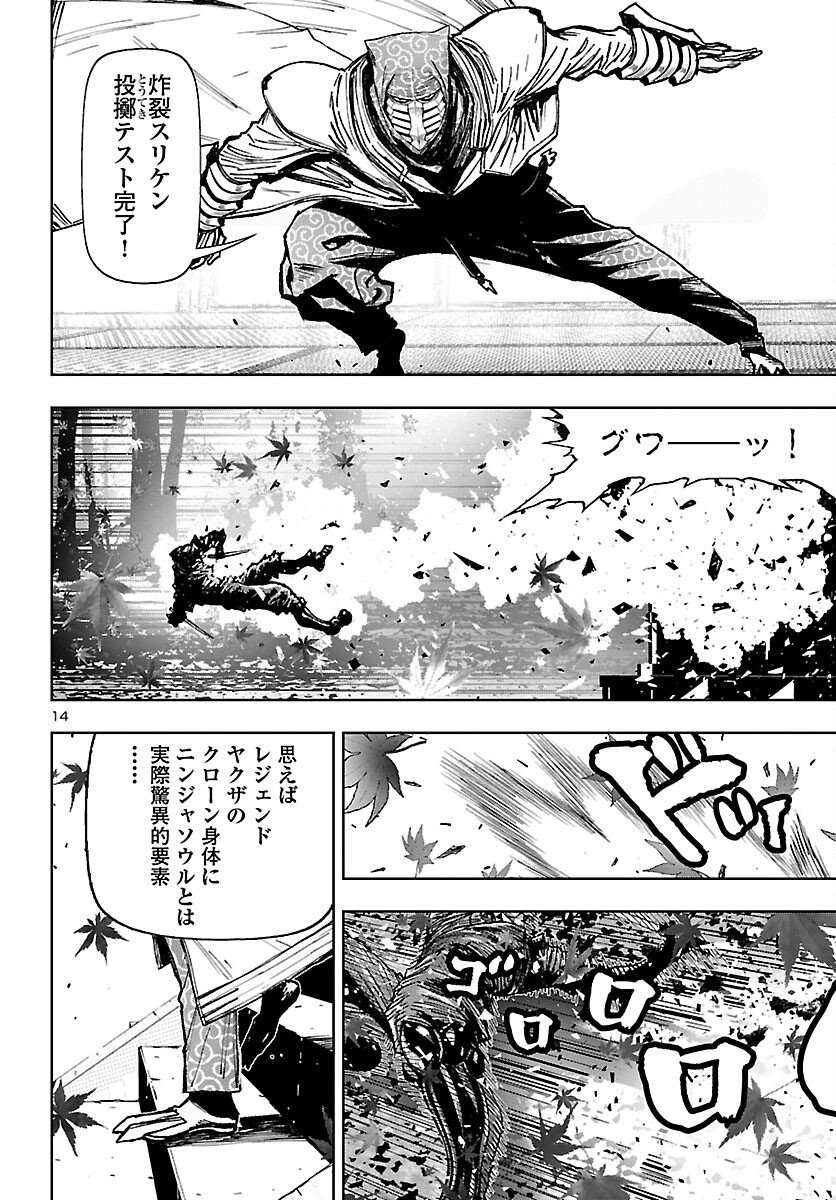 Page 14