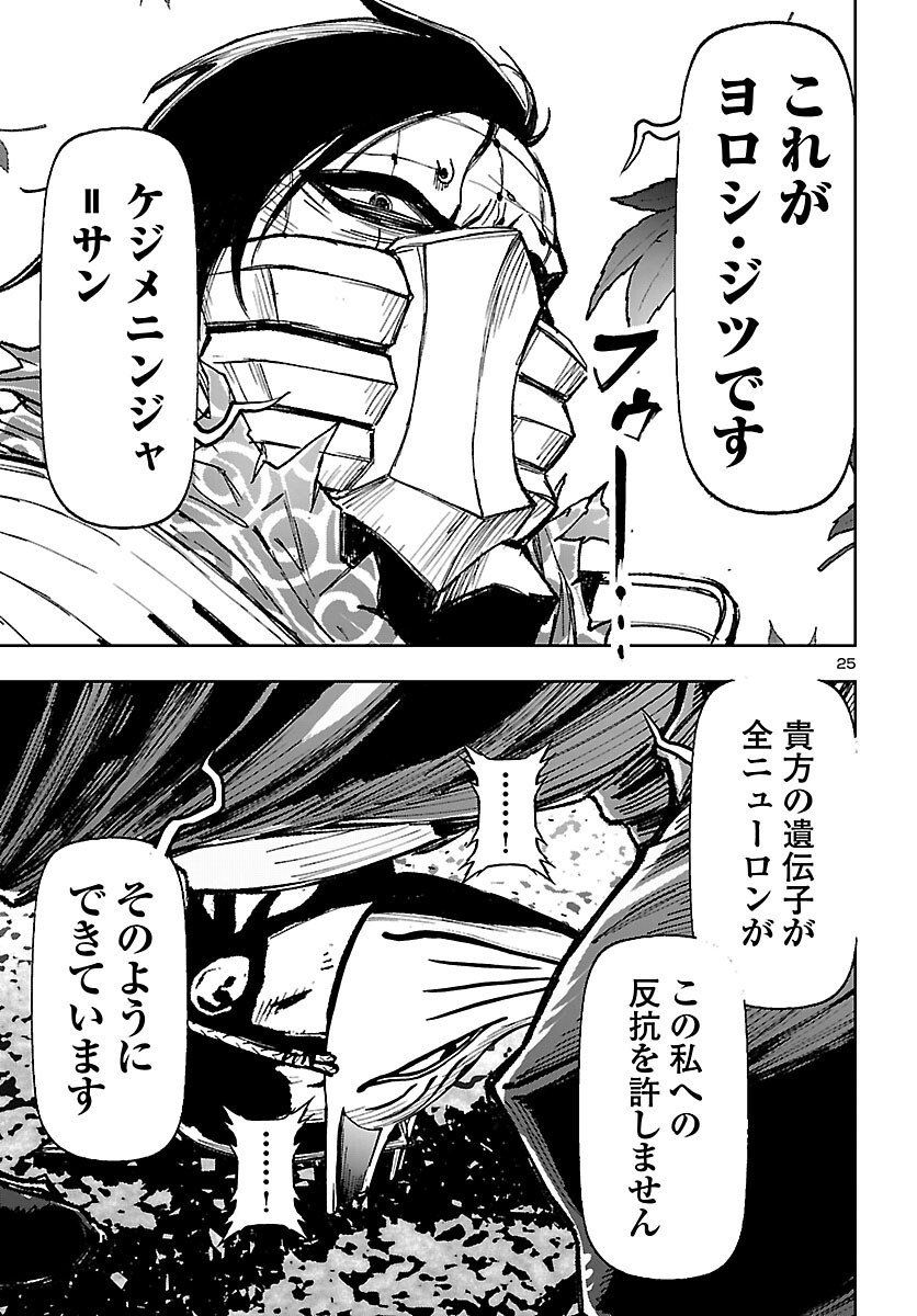 Page 25