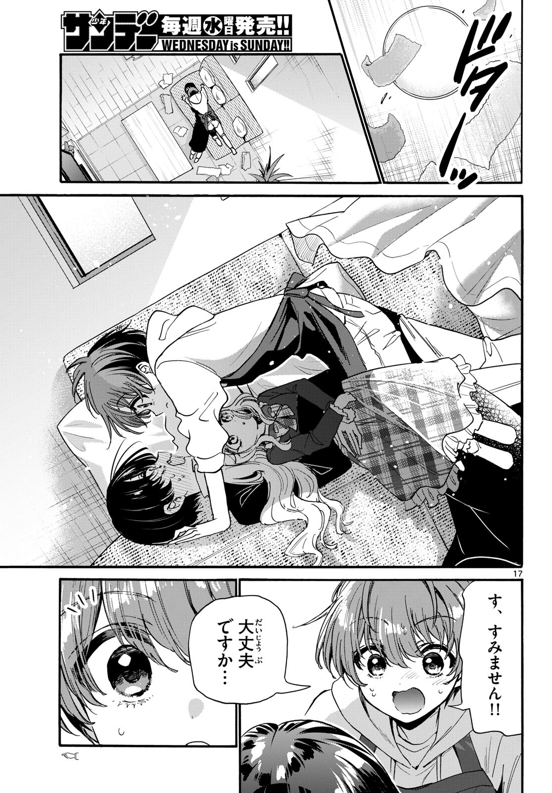 Page 17