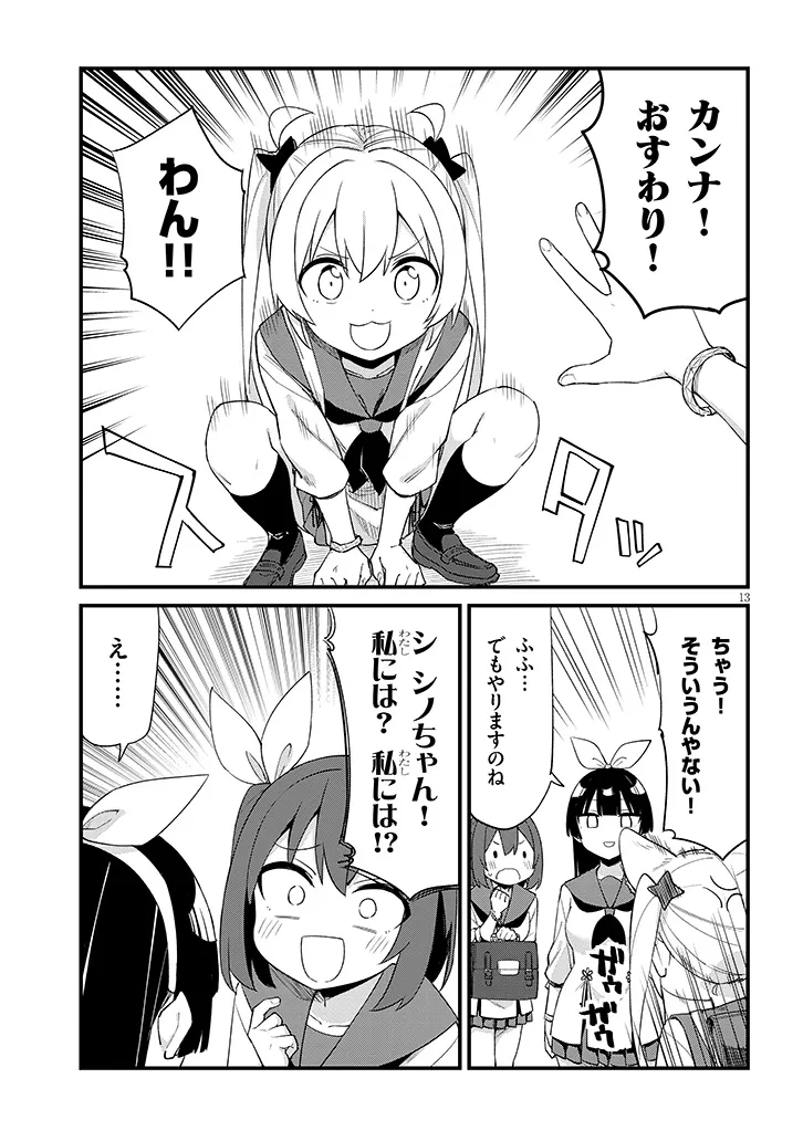 Page 13