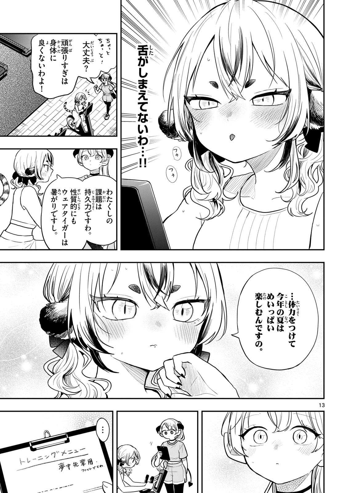 Page 13