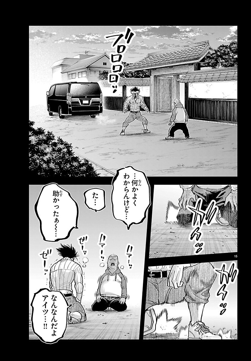 Page 15