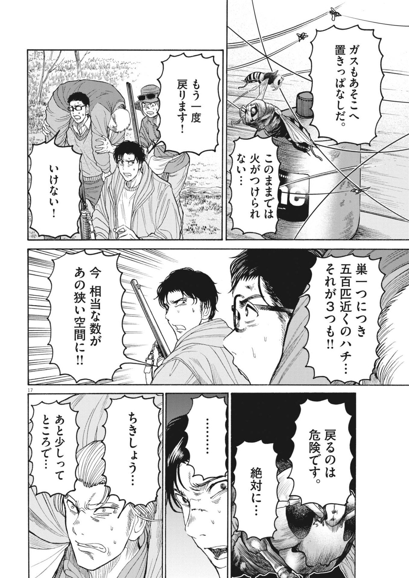 Page 17