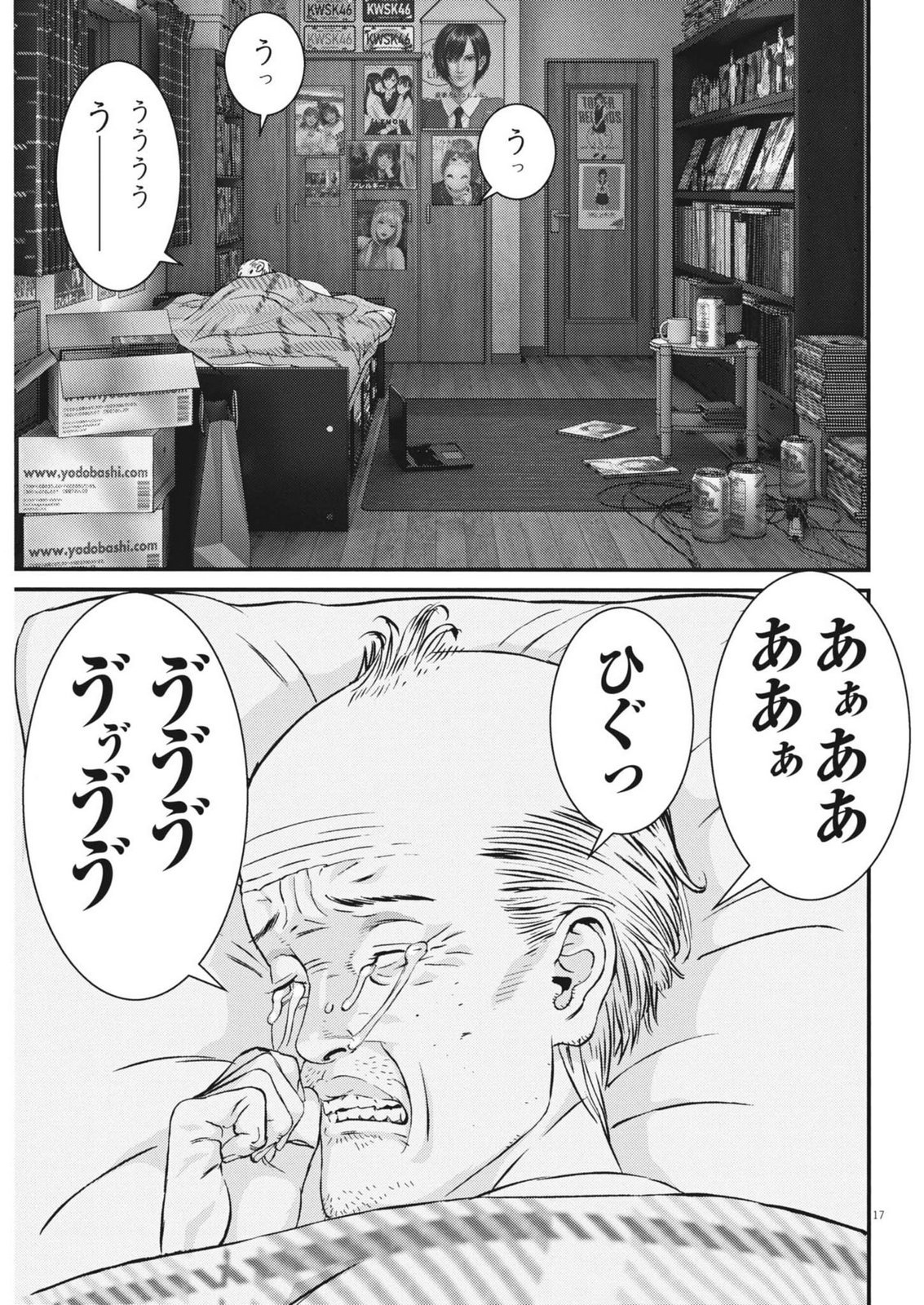 Page 17