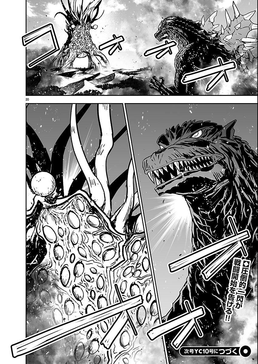 Page 20