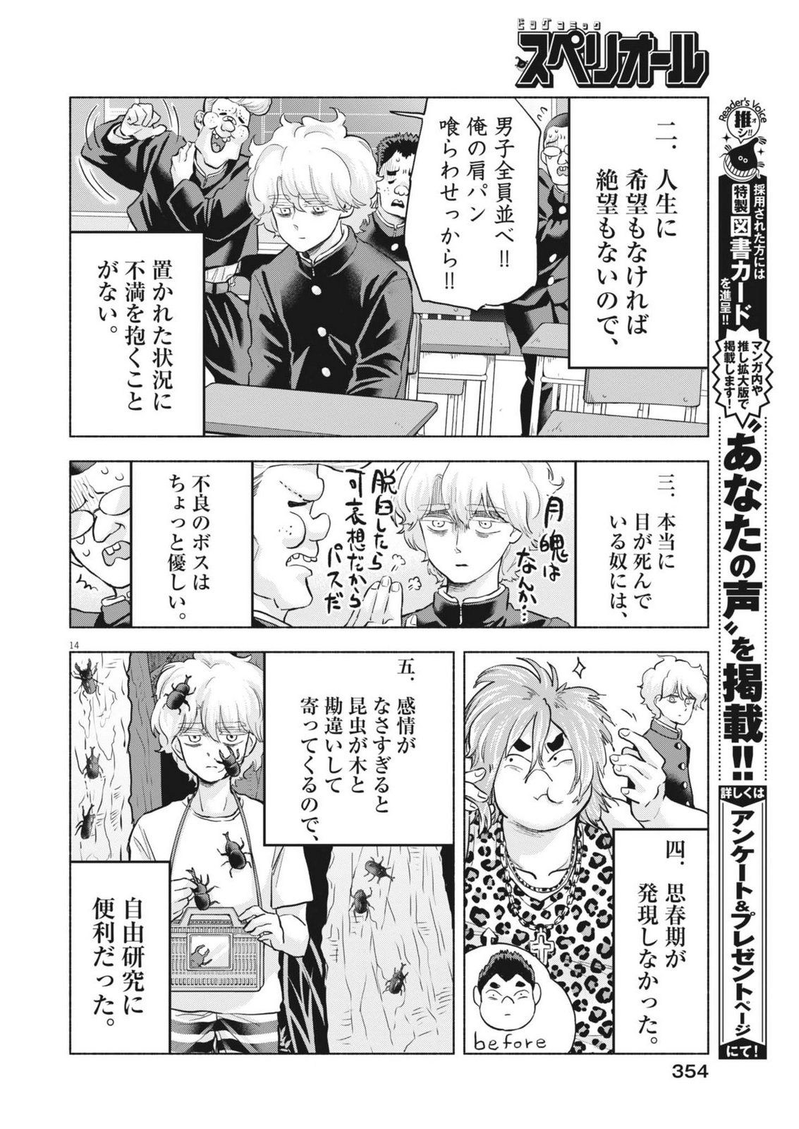 Page 14