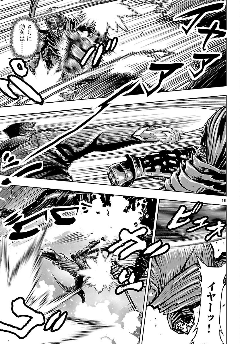 Page 15
