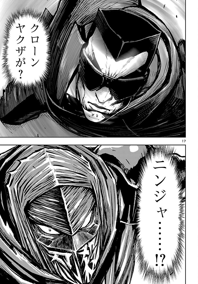 Page 17