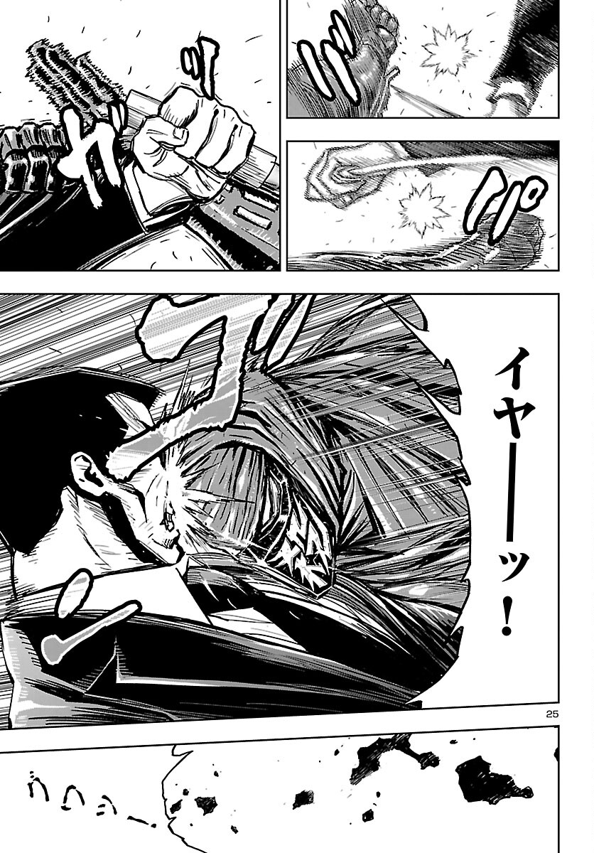Page 25