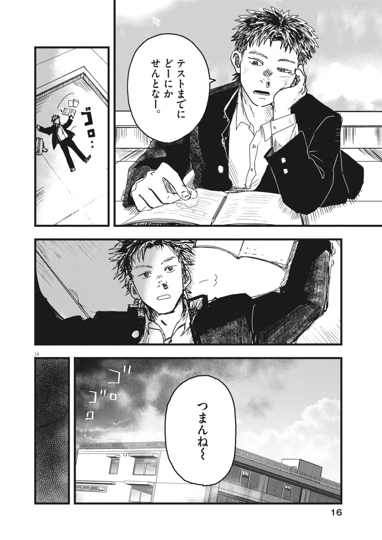 Page 14