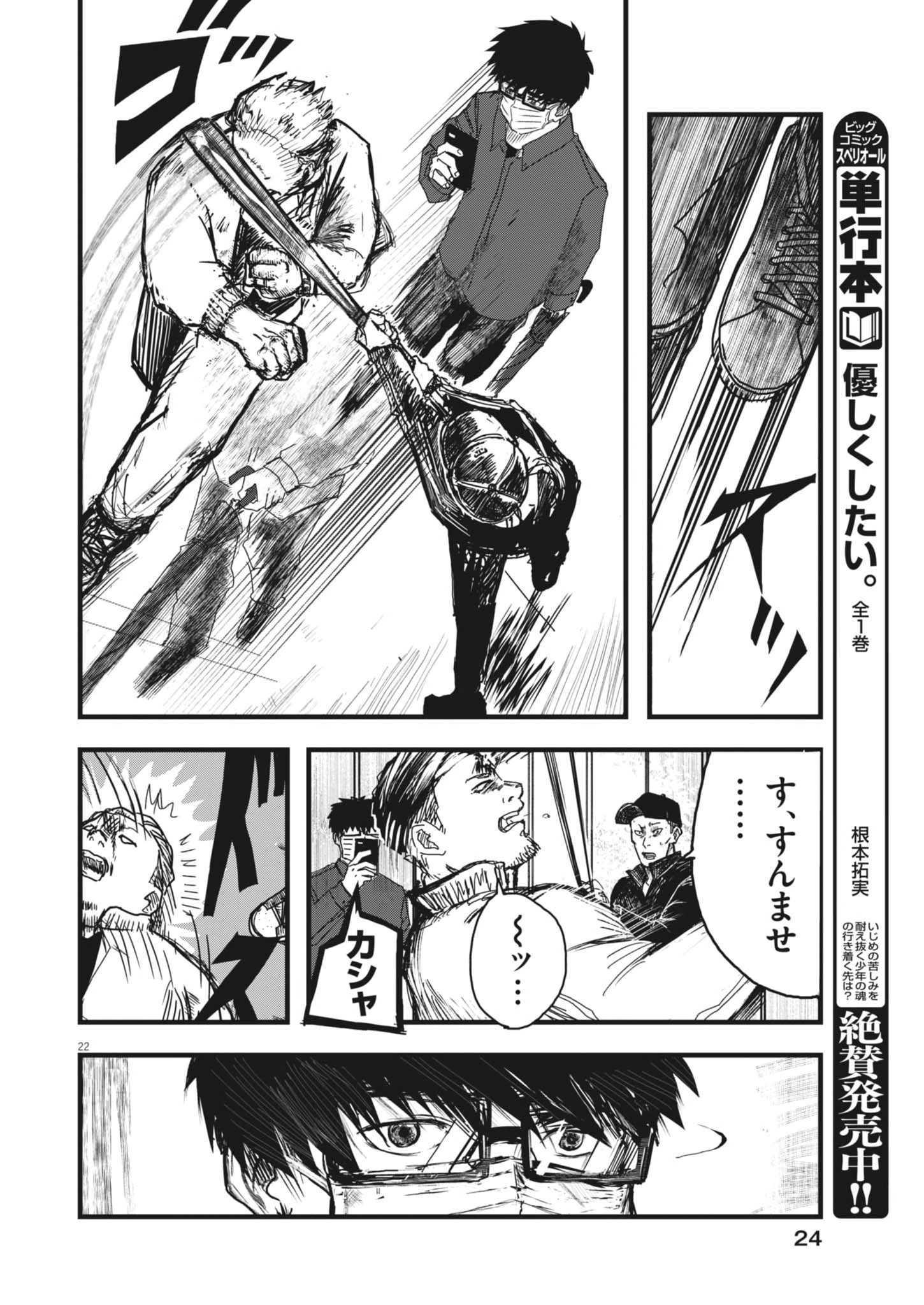 Page 22