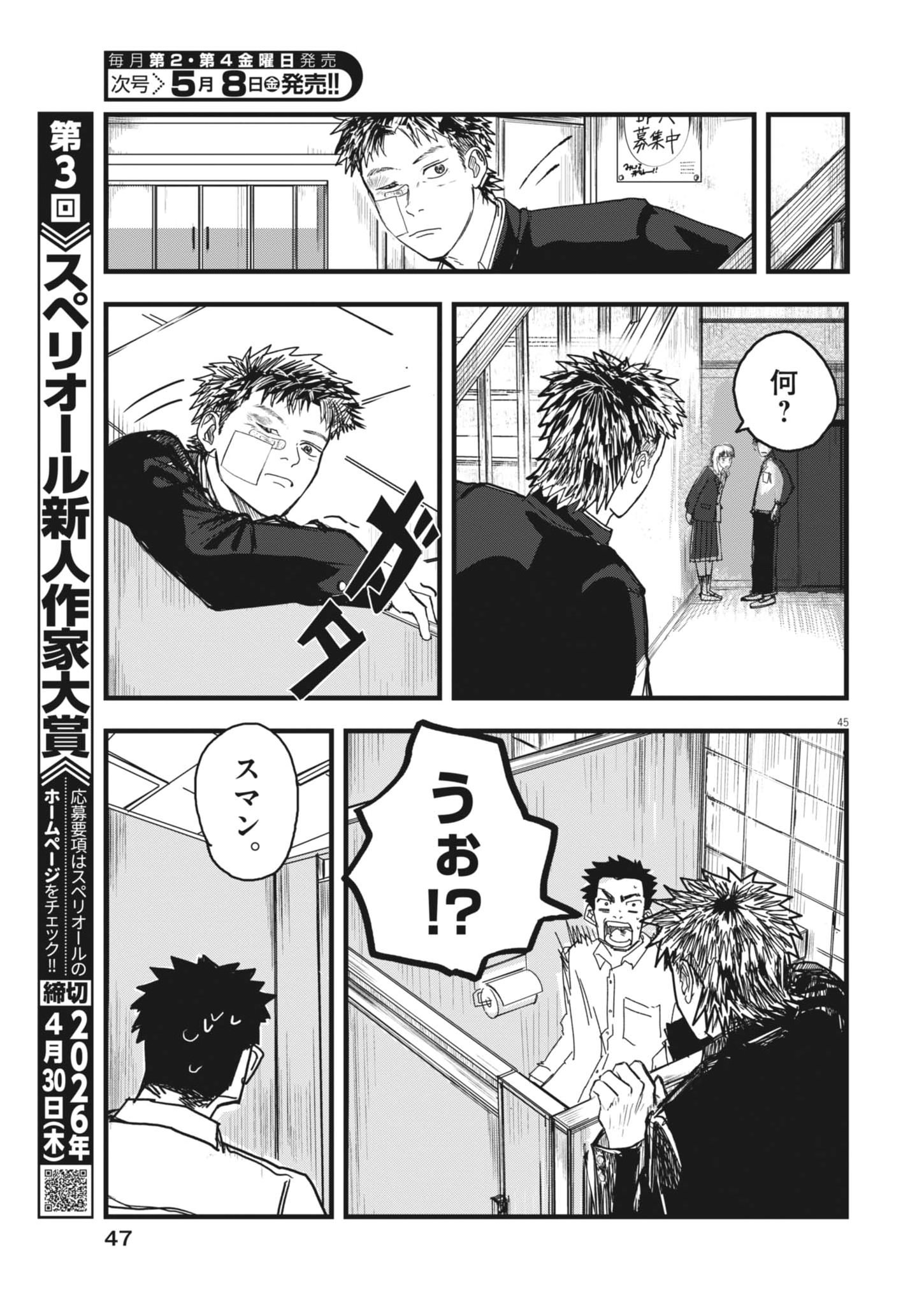 Page 45