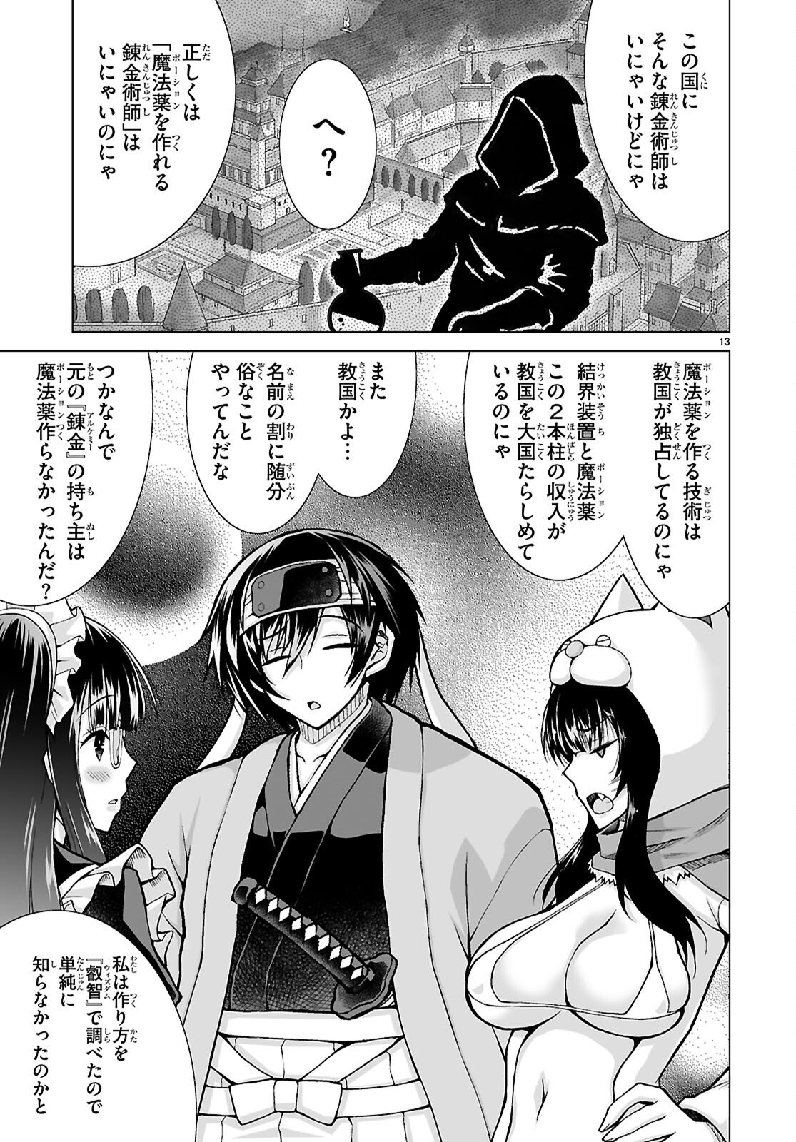 Page 13