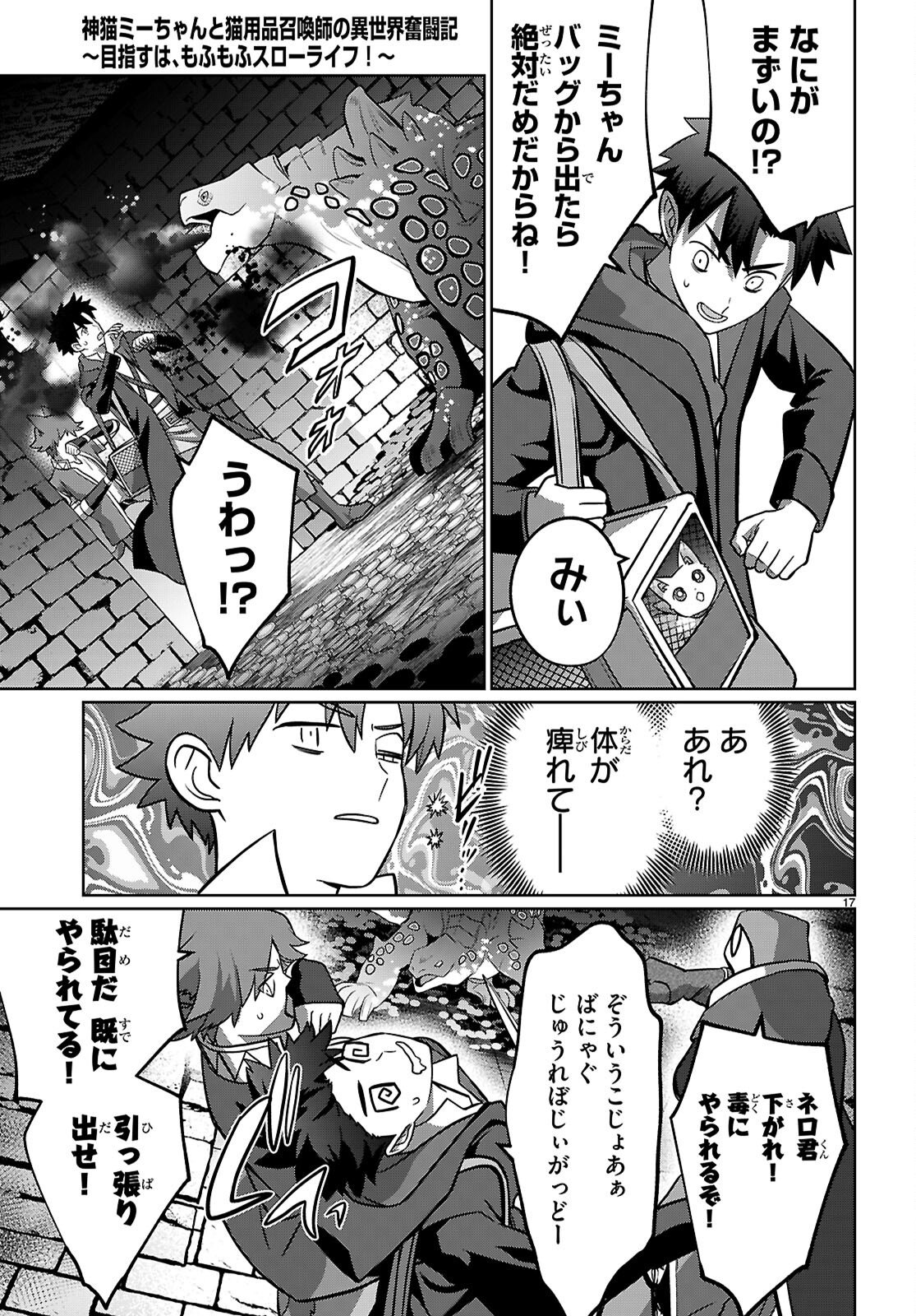 Page 17