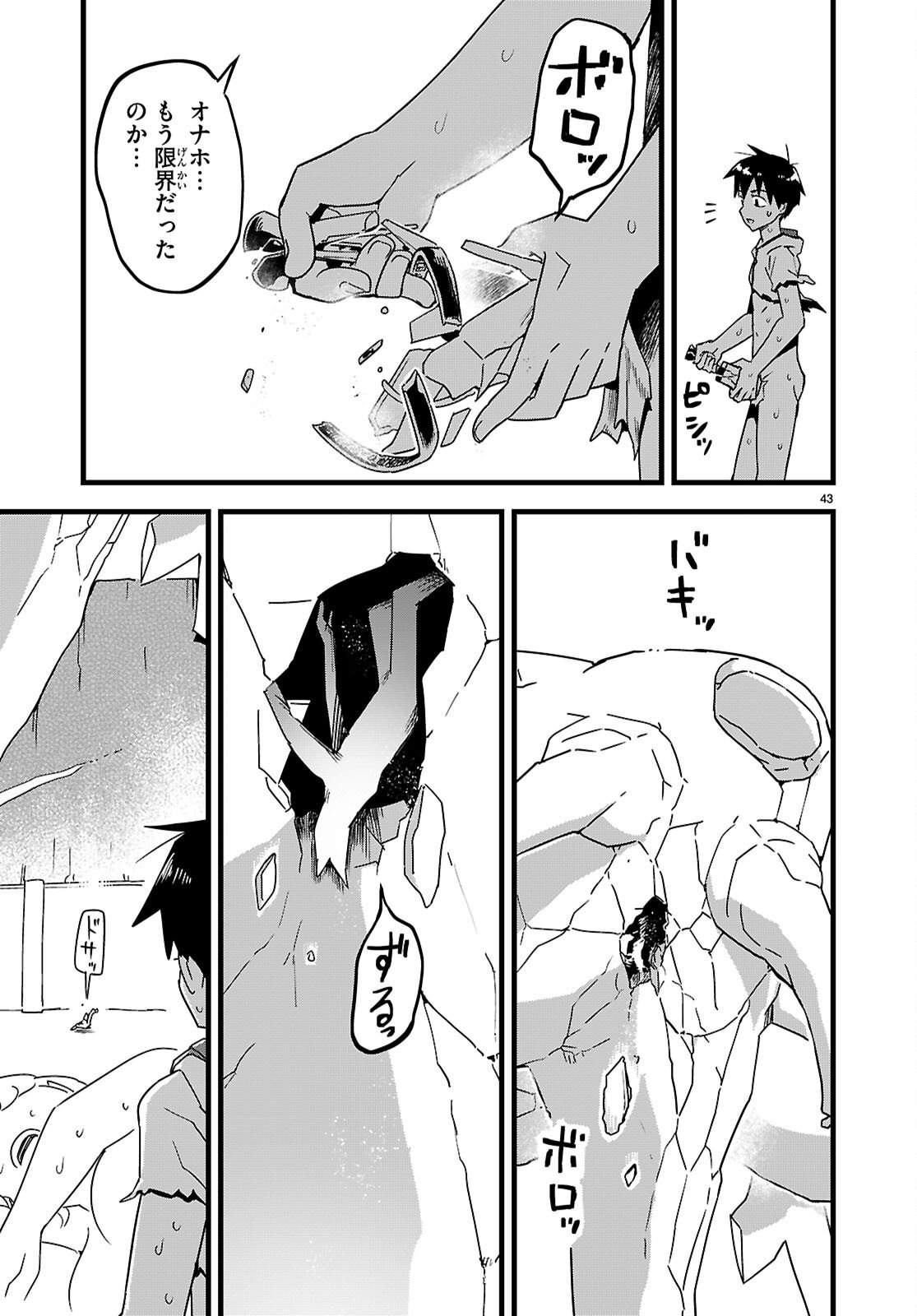 Page 43