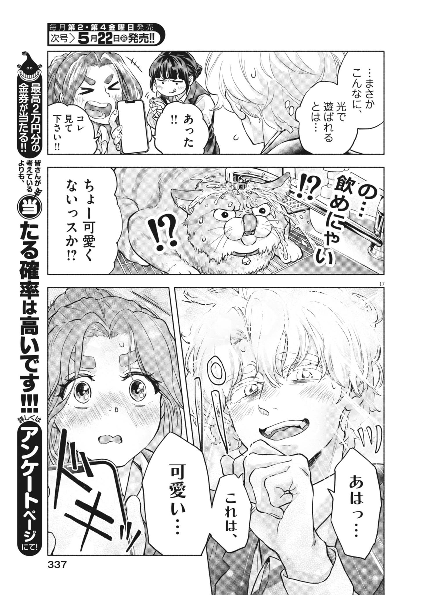 Page 17