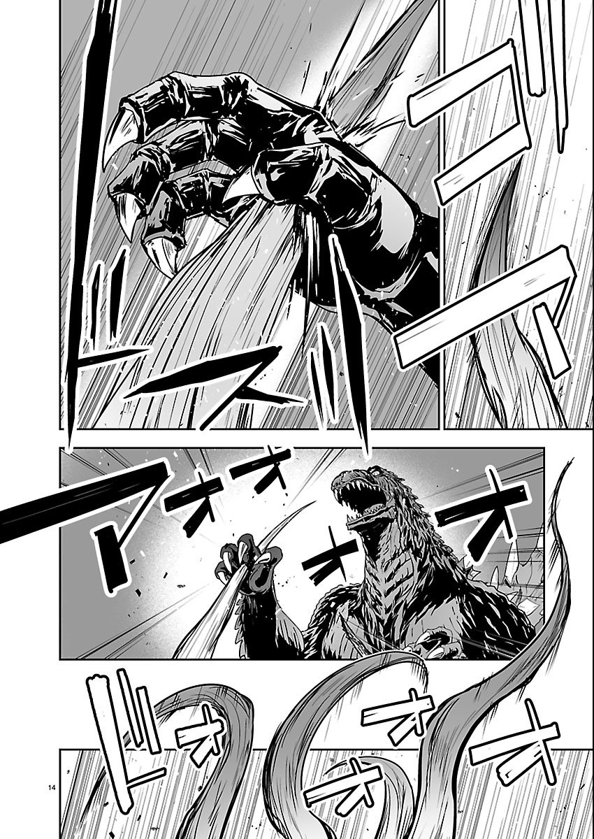Page 14