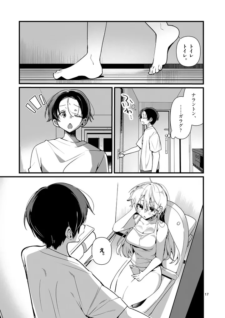 Page 17