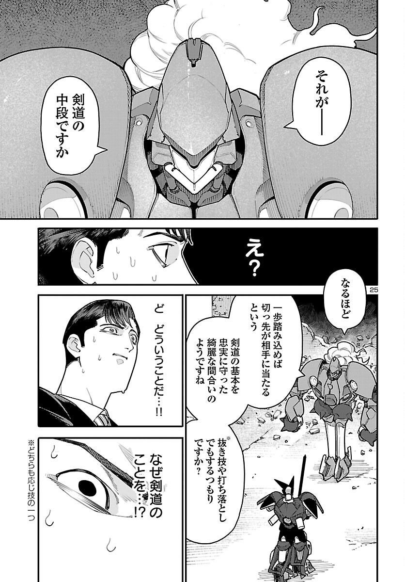 Page 25