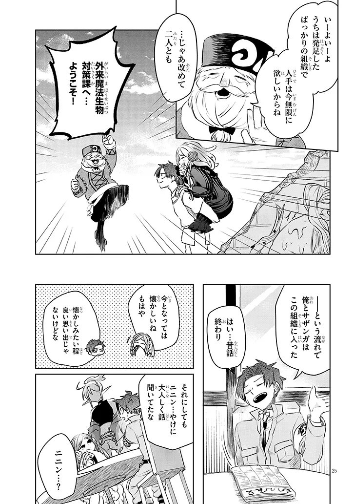 Page 25