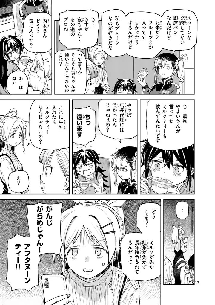 Page 13
