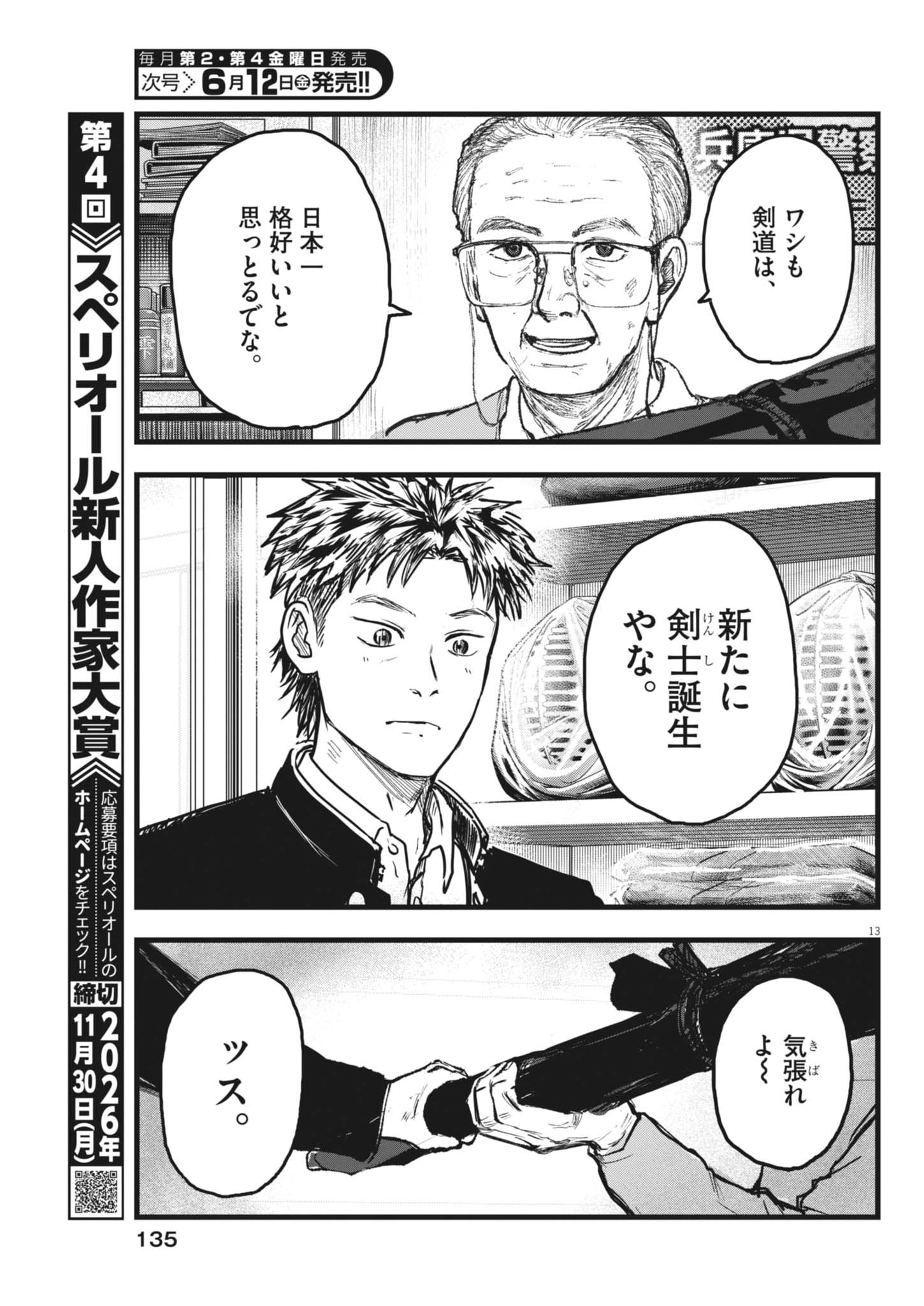 Page 13