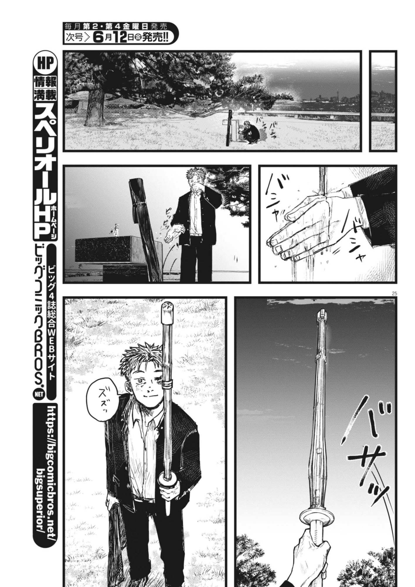 Page 25