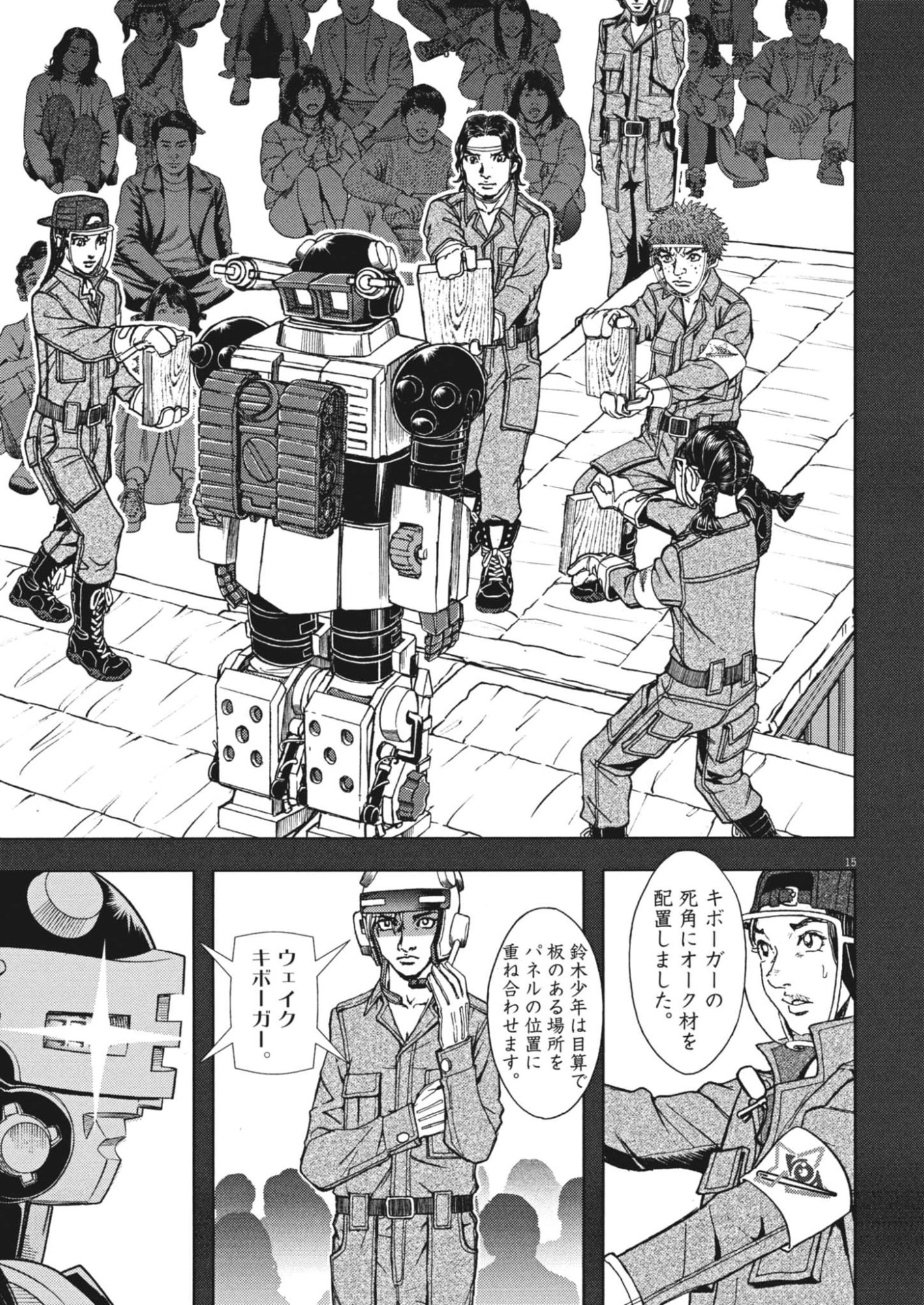 Page 15