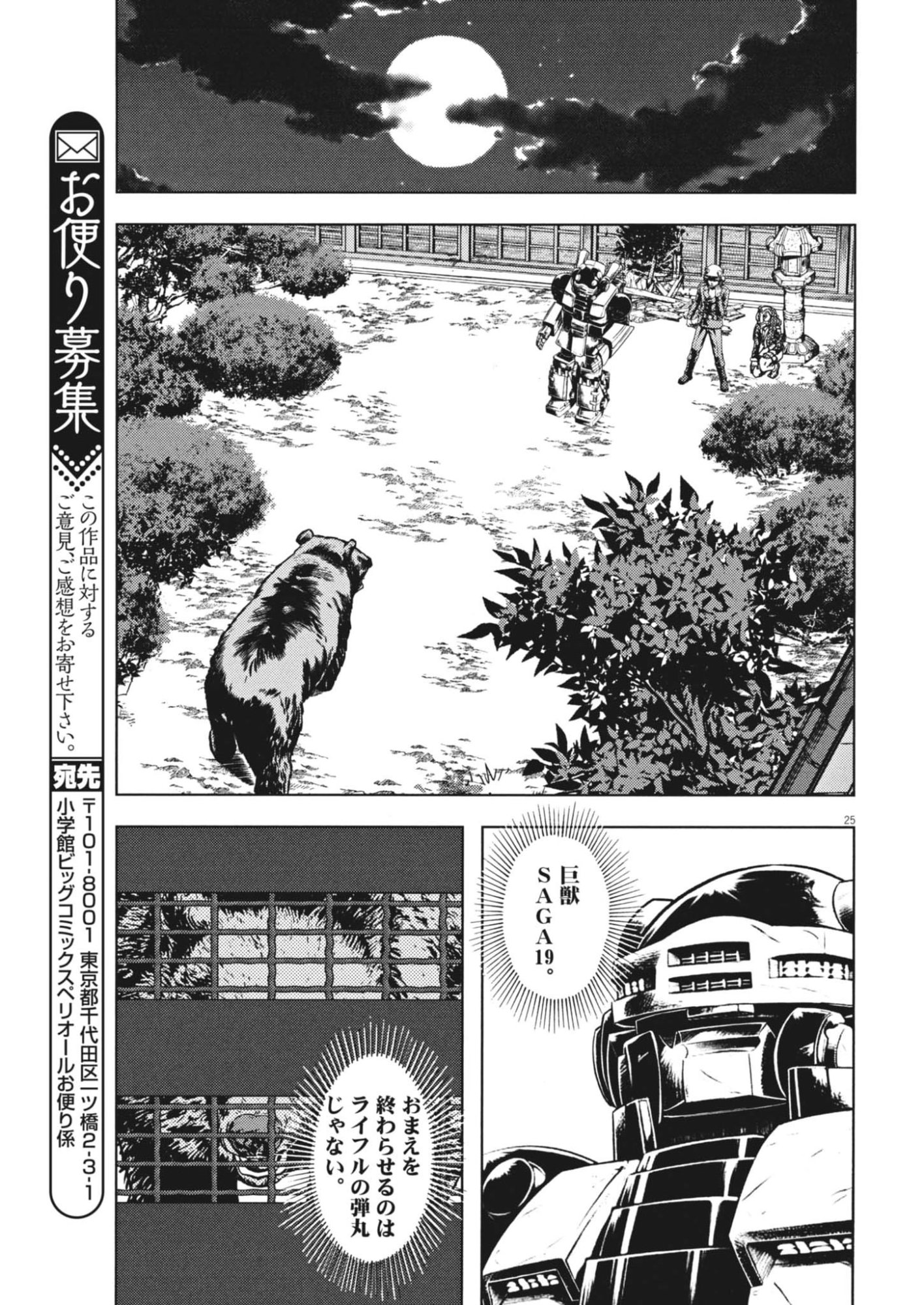 Page 25