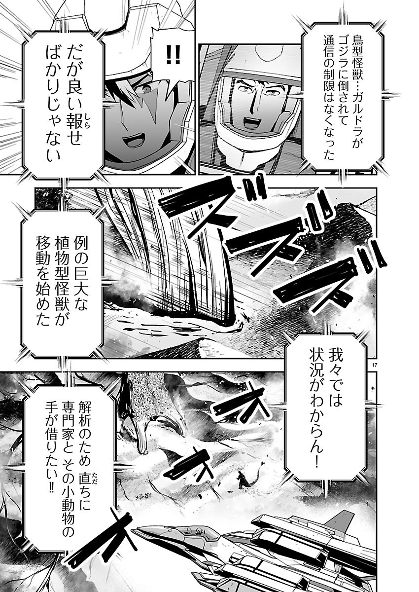 Page 17