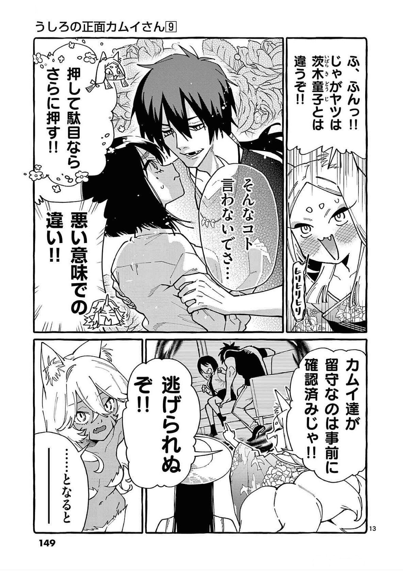 Page 13
