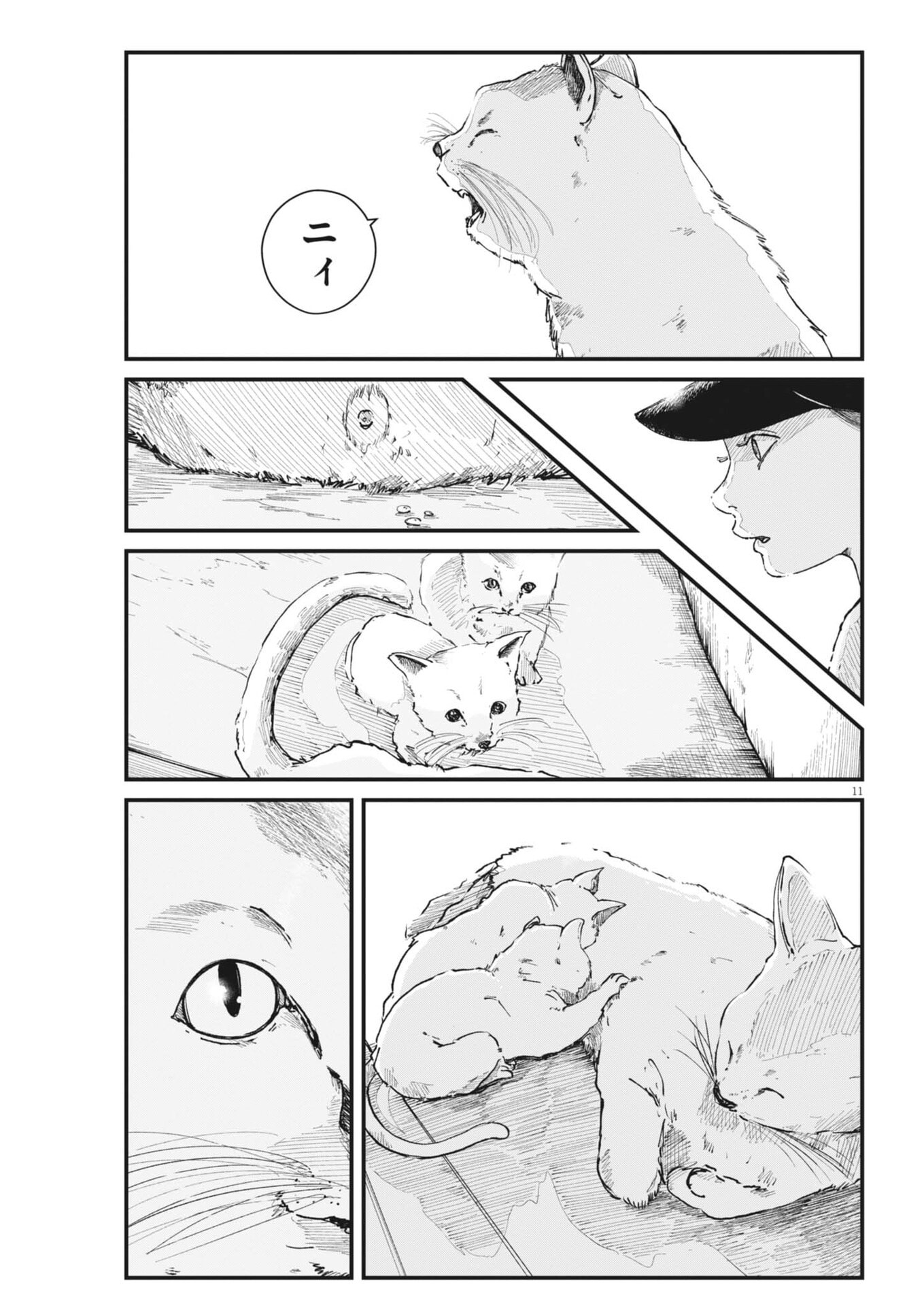 Page 11
