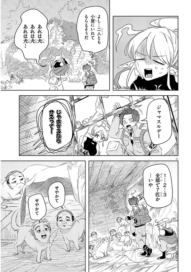 Page 11