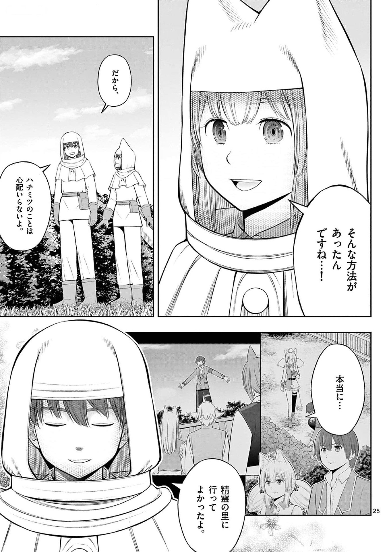 Page 25