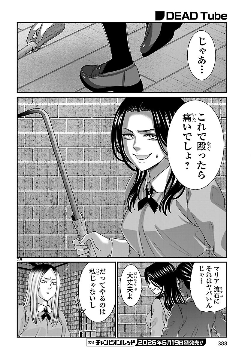 Page 28