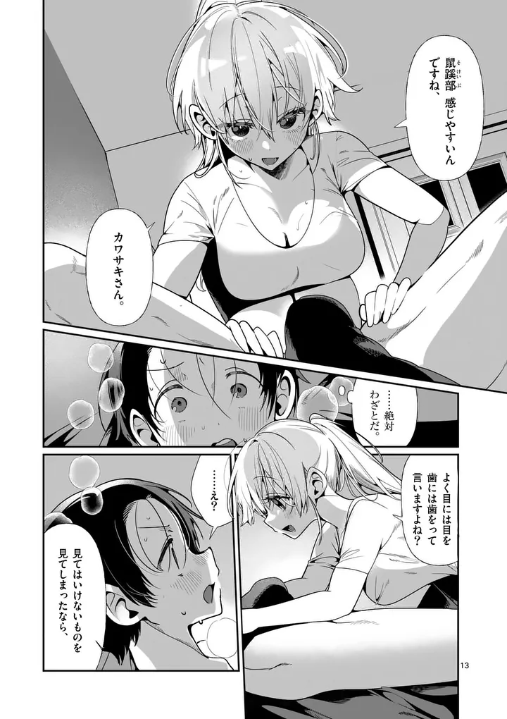 Page 13