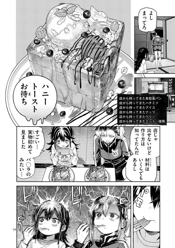 Page 14