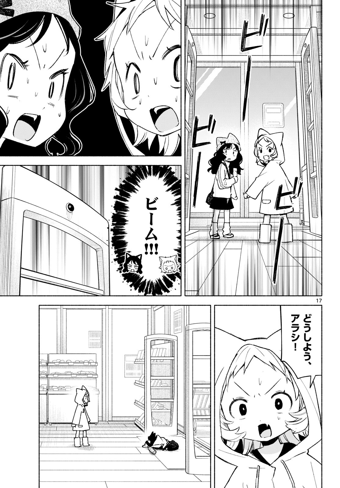 Page 17