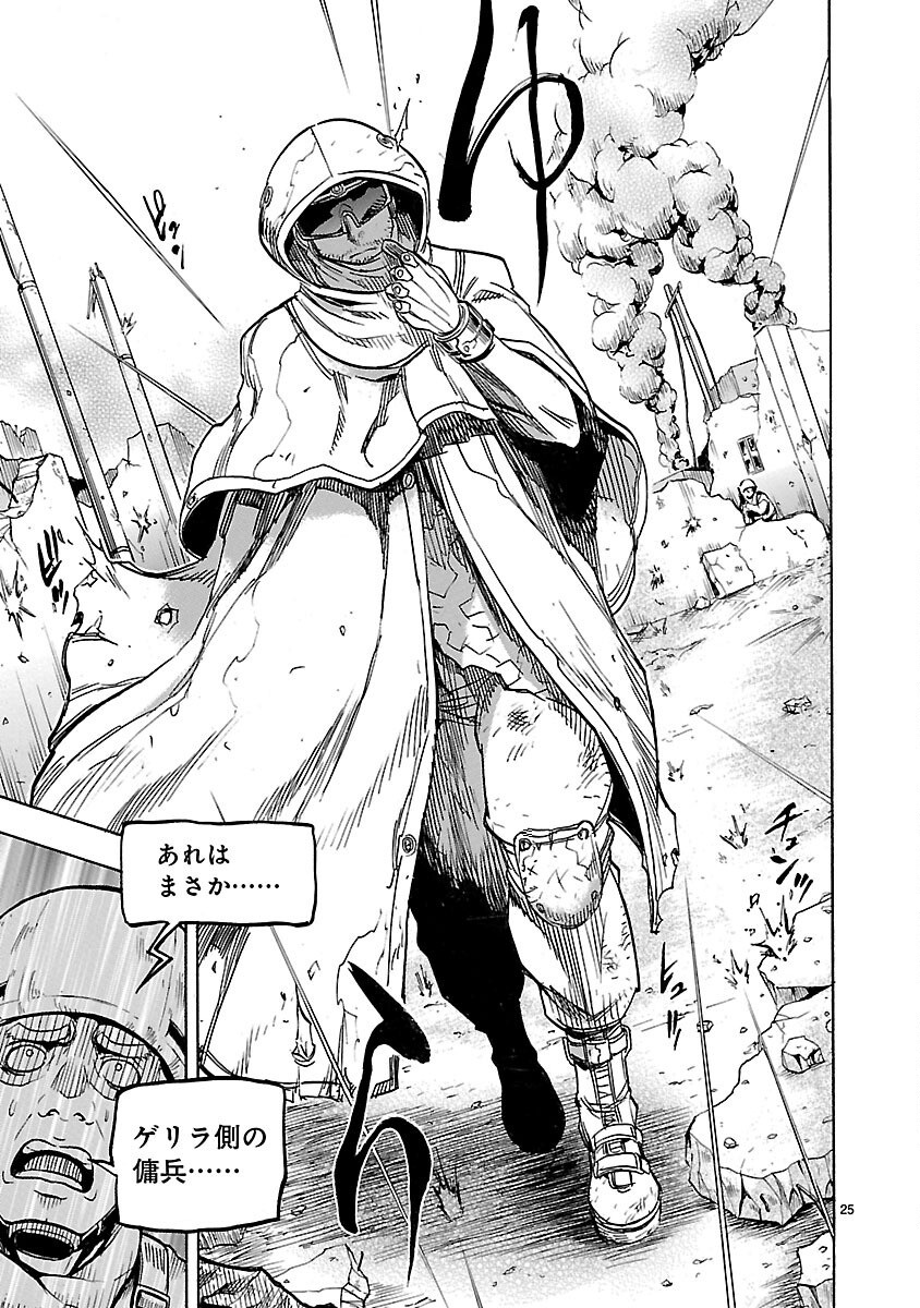 Page 25