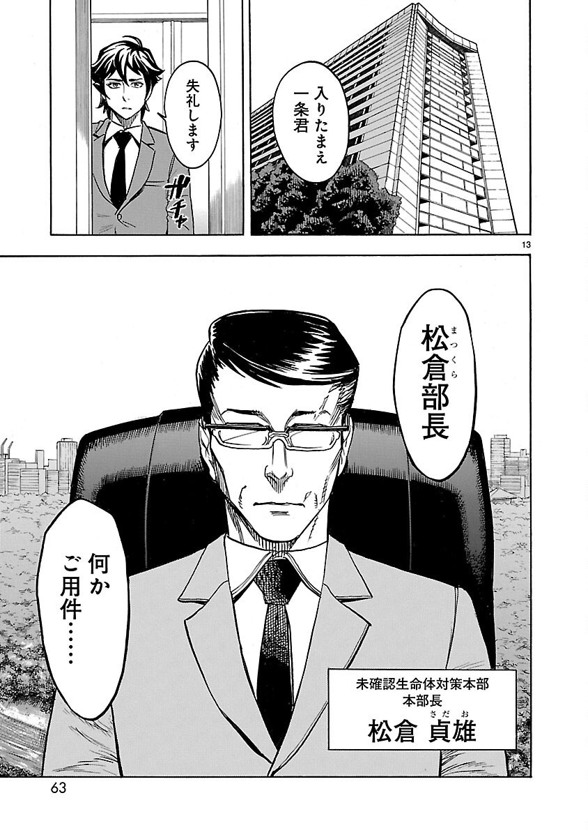 Page 13