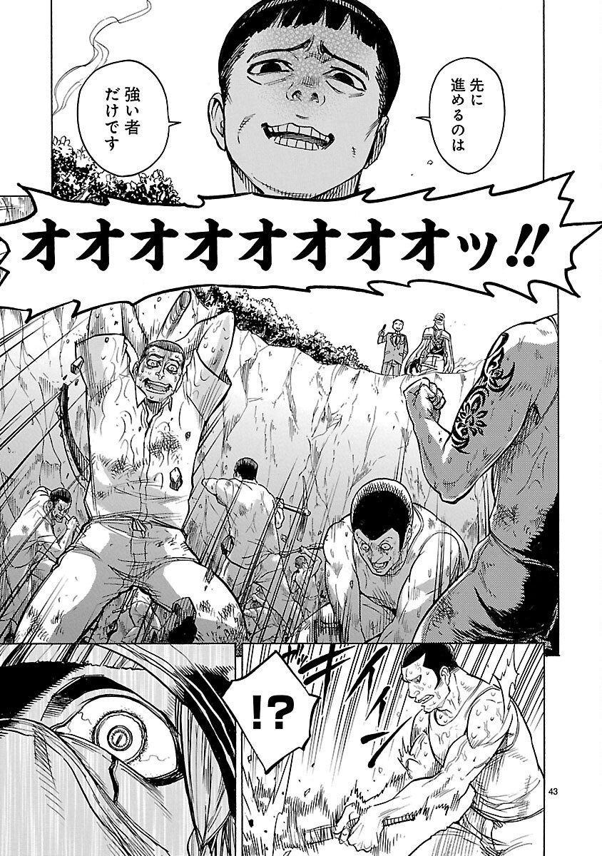 Page 43