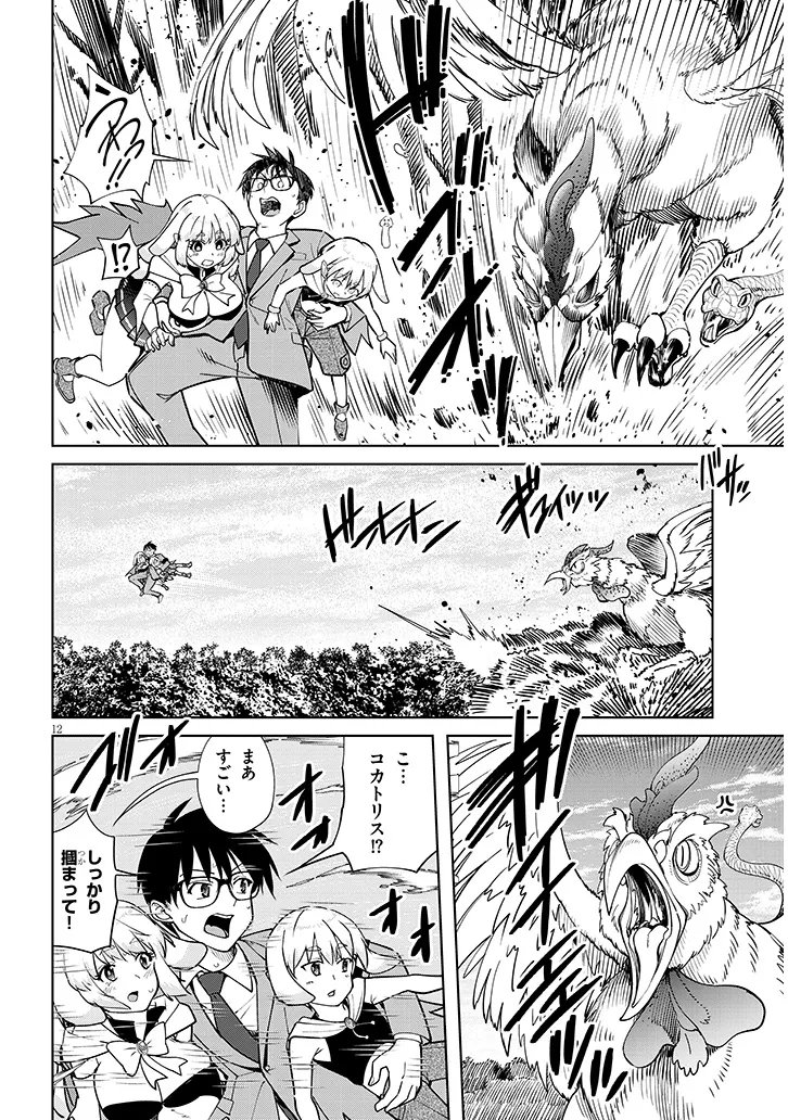Page 12