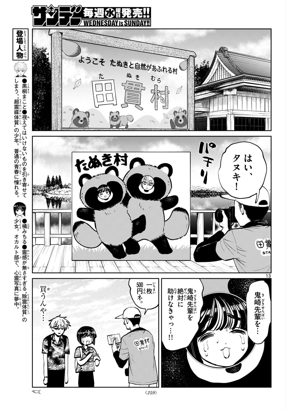 Page 13
