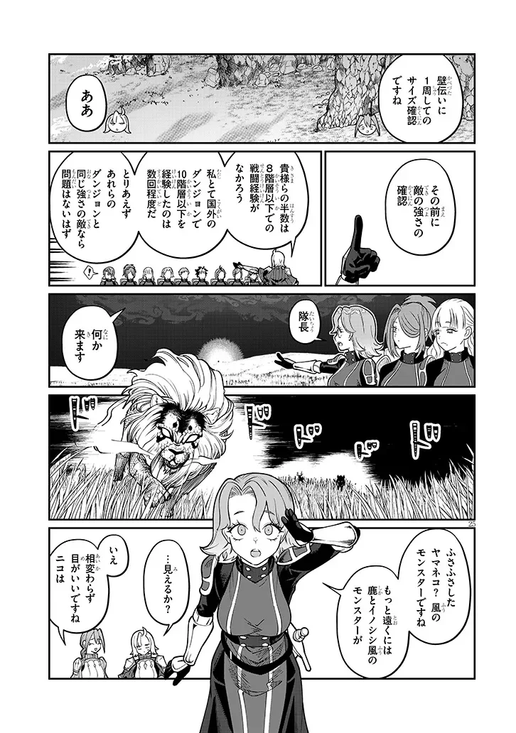 Page 25