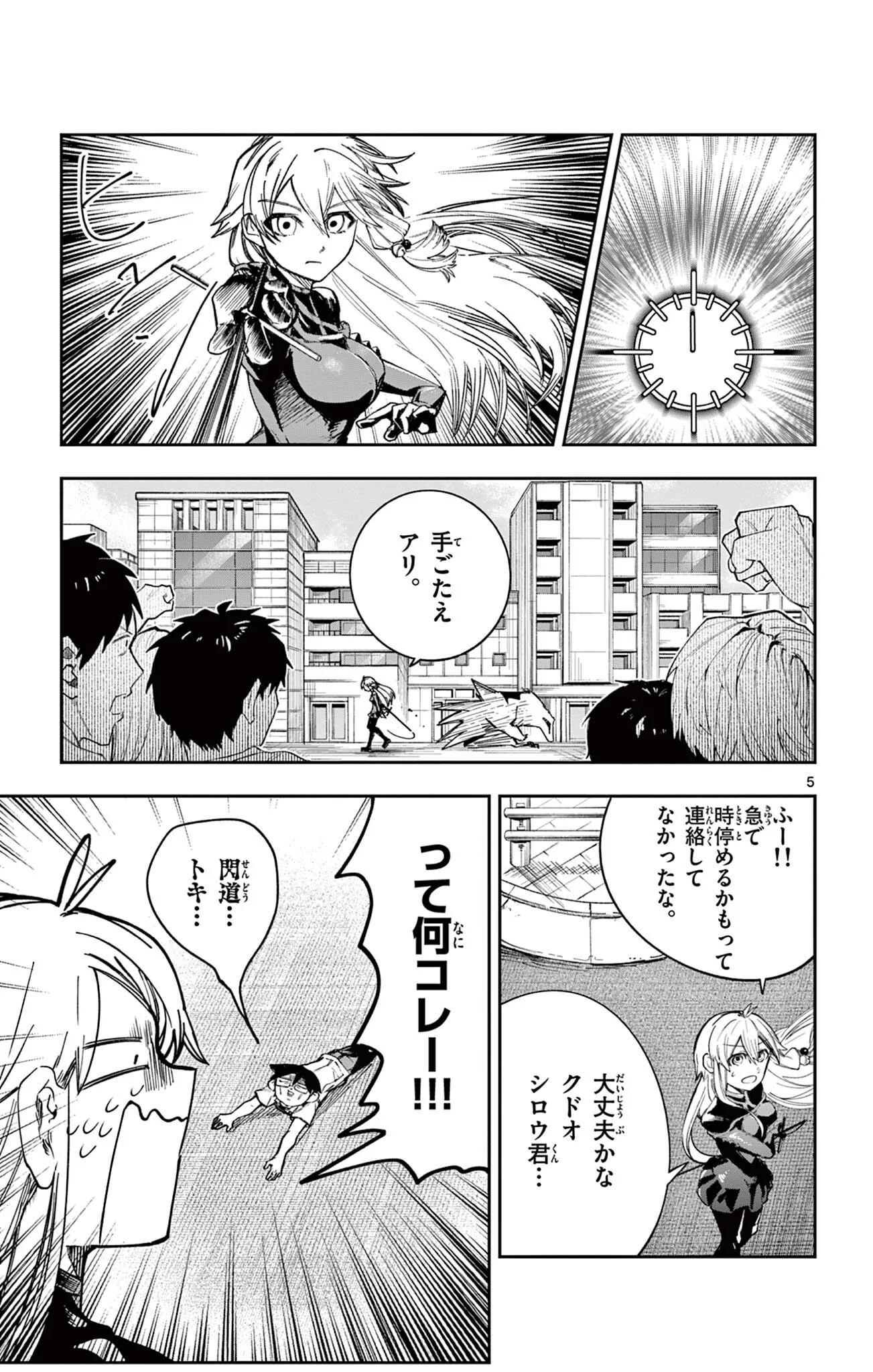 Page 5