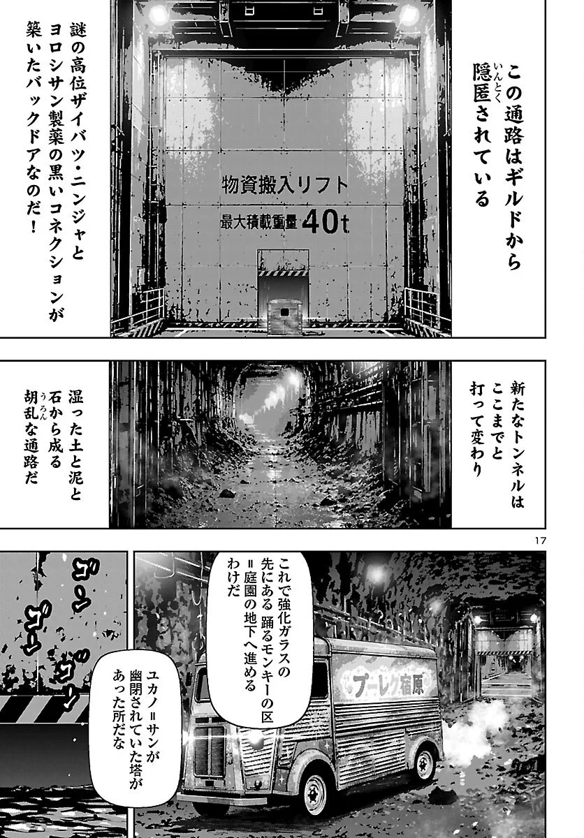 Page 17
